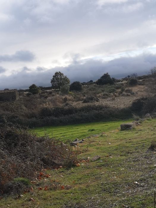 Terreno rústico Escalhão