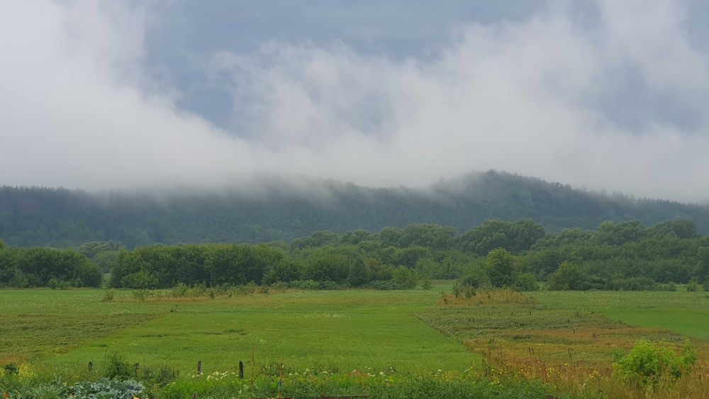 Оренда вілли біля лісу! Басейн/Баня/Чан/Генератор/Піч. GreenHillsVilla