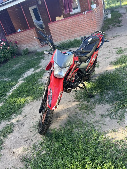 Forte kross 250 2023