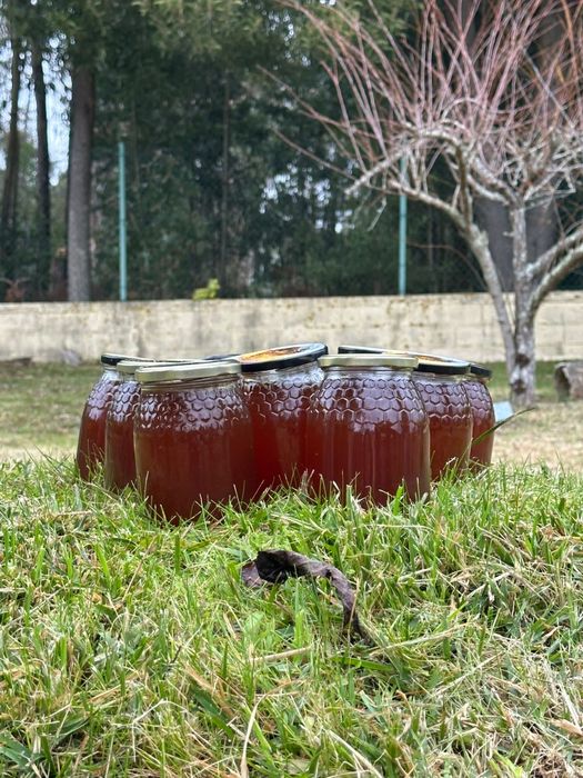 Mel natural multifloral