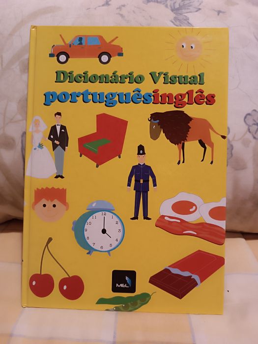 Livro Aprender  Inglês. Dicionário Visual Português Inglês
