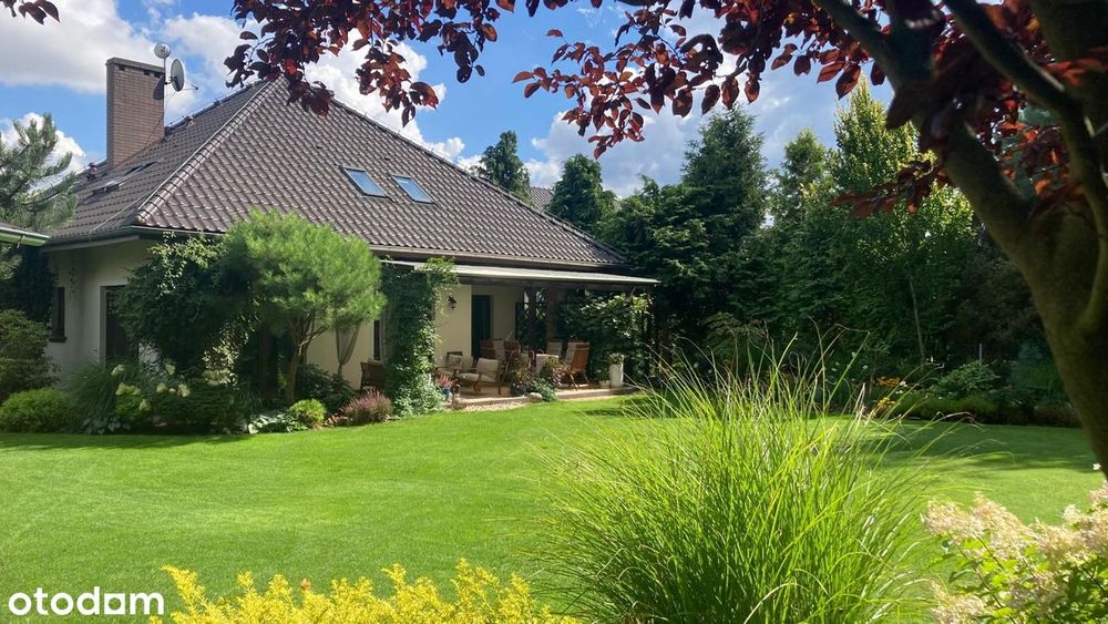 Dom – Borkowice - Widok 2
