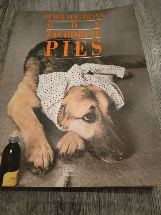 Peter Teichmann Gdy zachoruje pies