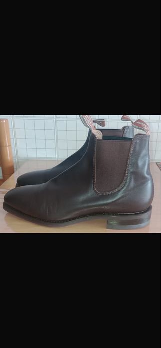 Botim masculino  N-42  (Novo)