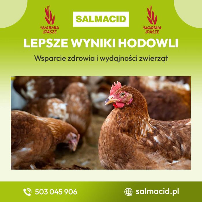SALMACID zakwaszacz wody mauzer 10000kg woda zwierząt DOSTAWA GRATIS