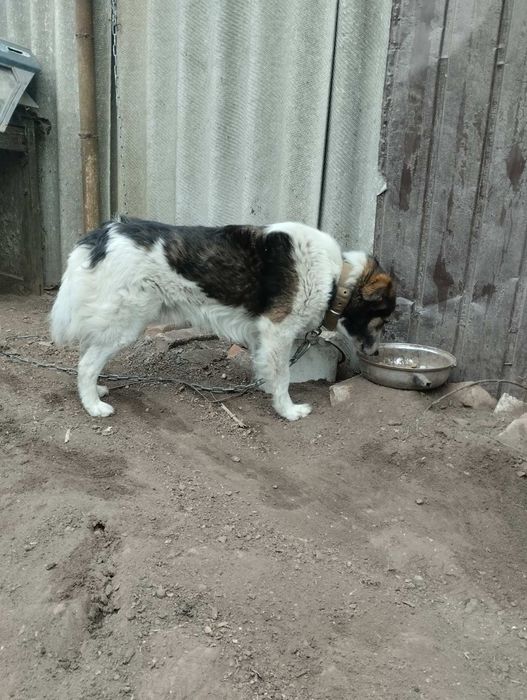 Хлопчик безкоштовно