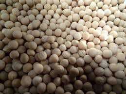 Sprzedam groch BATUTA, ASTRONAUTE - po centrali