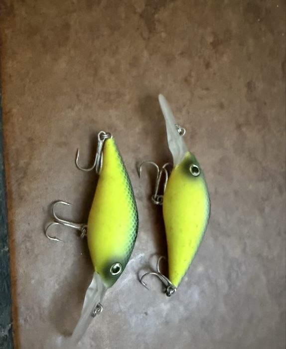 Amostras afundantes X rat