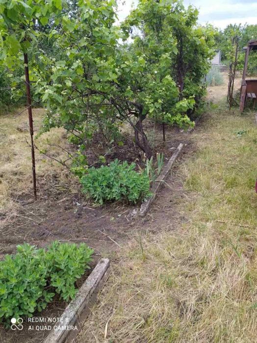 Продам дачу у Пісчанці, близько річка, дешево