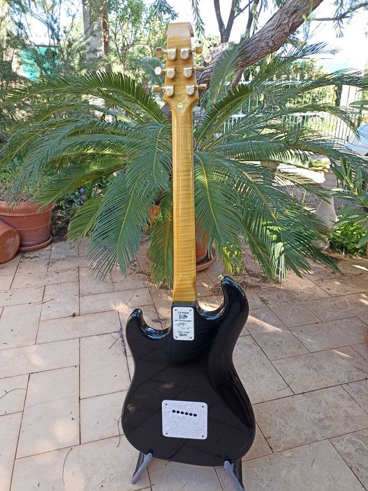 BURNS Limited Edition Custom Elite Apache Electric Guitar / Guitarra