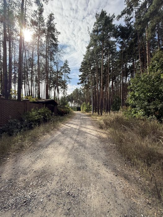 Крутезна ділянка з крутезним лісом в закритому містечку.