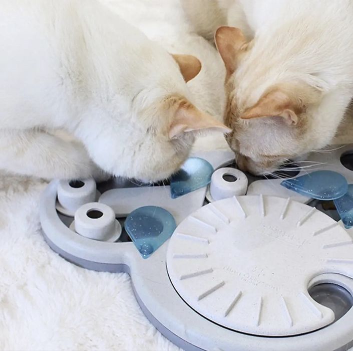 Zabawka Interaktywna • ININA OTTOSSON Cat Puzzle & Play Rainy Day
