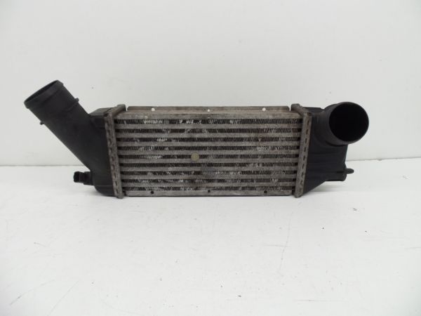 Radiador do intercooler PEUGEOT 307 (3A/C)