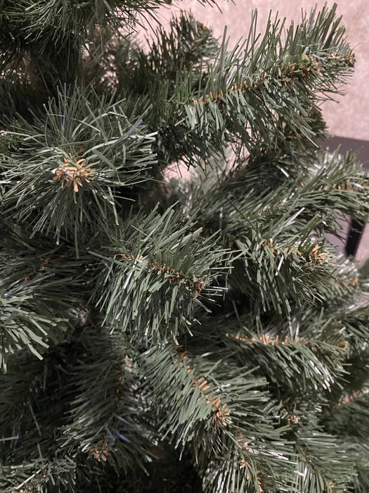 Ялинка декоративна.