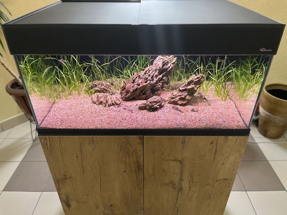 Aranżacja akwarium ze skał Dragon Stone