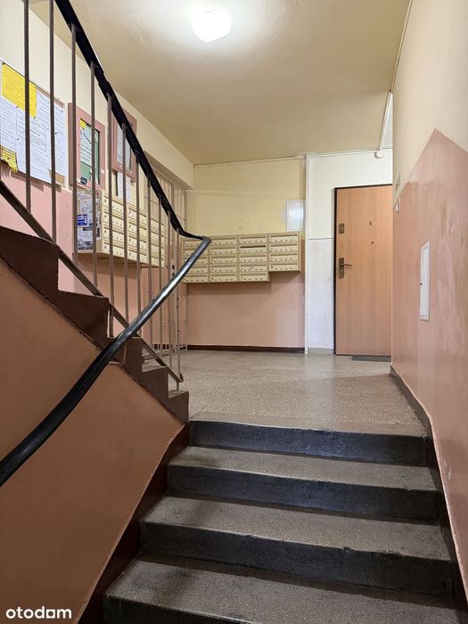 Zdjęcie 6