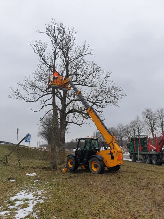 Wycinka drzew, frezowanie karp, pielęgnacja drzew
