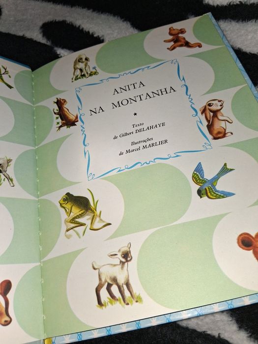 Livro Anita na Montanha