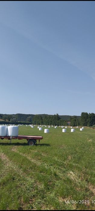 Bolas de feno silagem de azevém