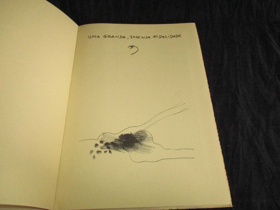 Livro Uma Grande Imensa Fidelidade Armando Alves