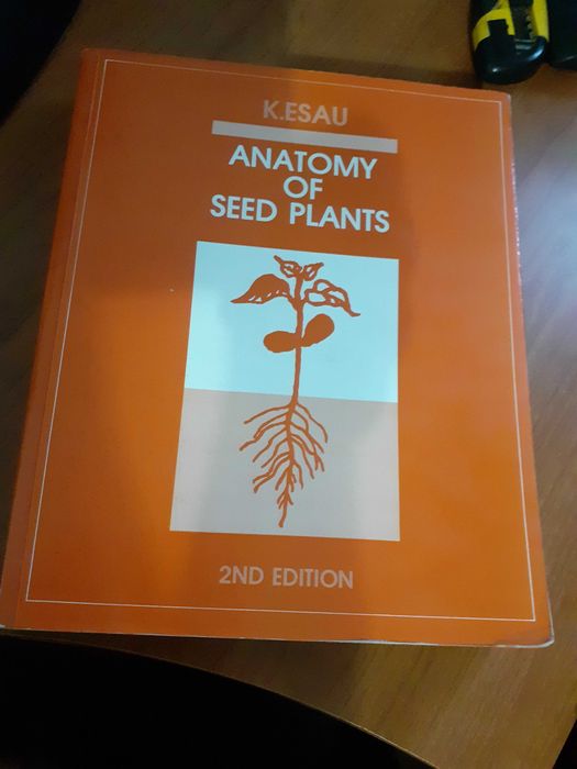 Anatomy of Seed Plants