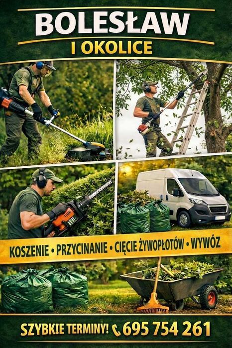 Koszenie, cięcie, wywóz – Bolesław i okolice – szybkie terminy!