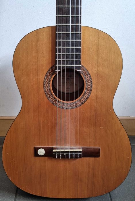 Gitara PRO ARTE CM-130 z pokrowcem