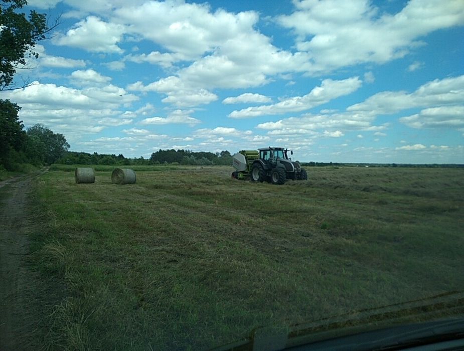 Siano suche belka 120 , dowóz do klienta