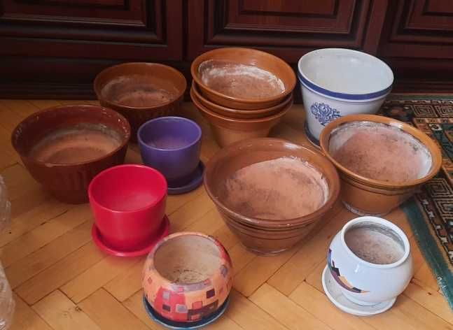 Горщіки Квіти Кротон Фікус Пеперомія