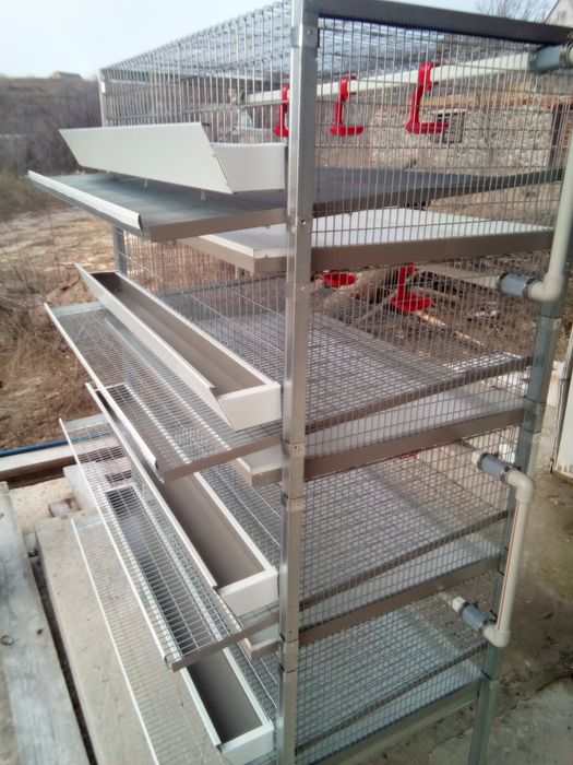 Клвтки для перепелів (Оплата частинаии)