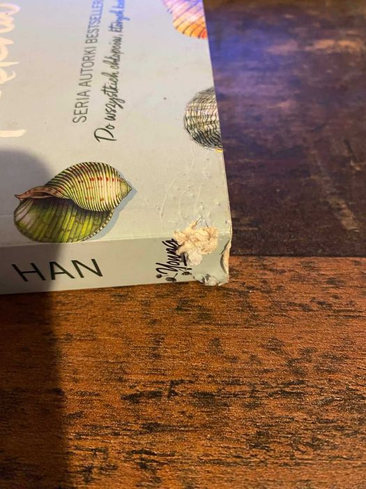 Książka Jenny Han "Tego lata stałam się piękna".