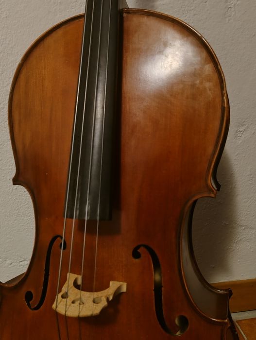 Violoncelo 1/2 Carlo Giordano