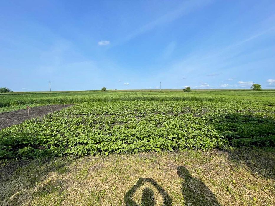 Будинок 72,6 м2 в селі Бортків – ваш куточок спокою та природи!