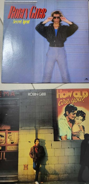 discos vinil - Robin Gibb