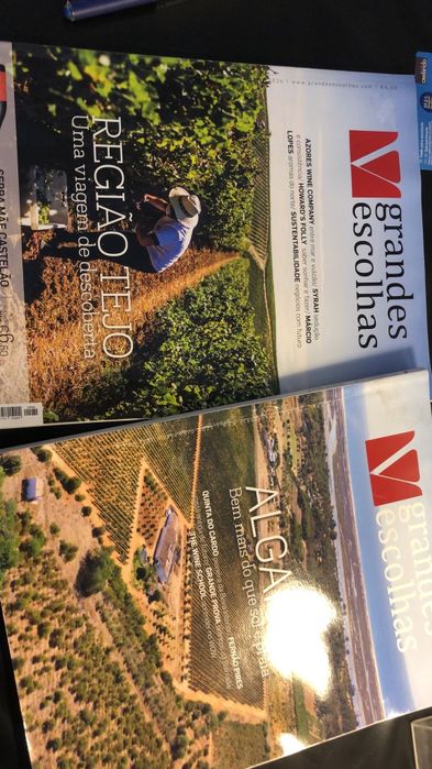 OPORTUNIDADE Revistas de vinhos 0.50 recentes para despachar