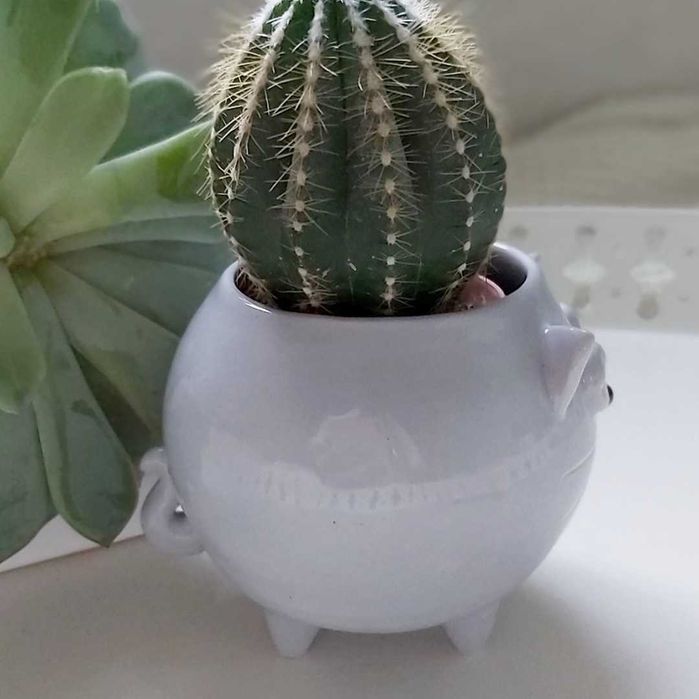 Mała szara doniczka ceramiczna kot - rękodzieło na prezent - Lamabo