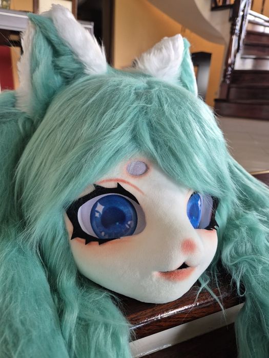 Fursuit Furry Head