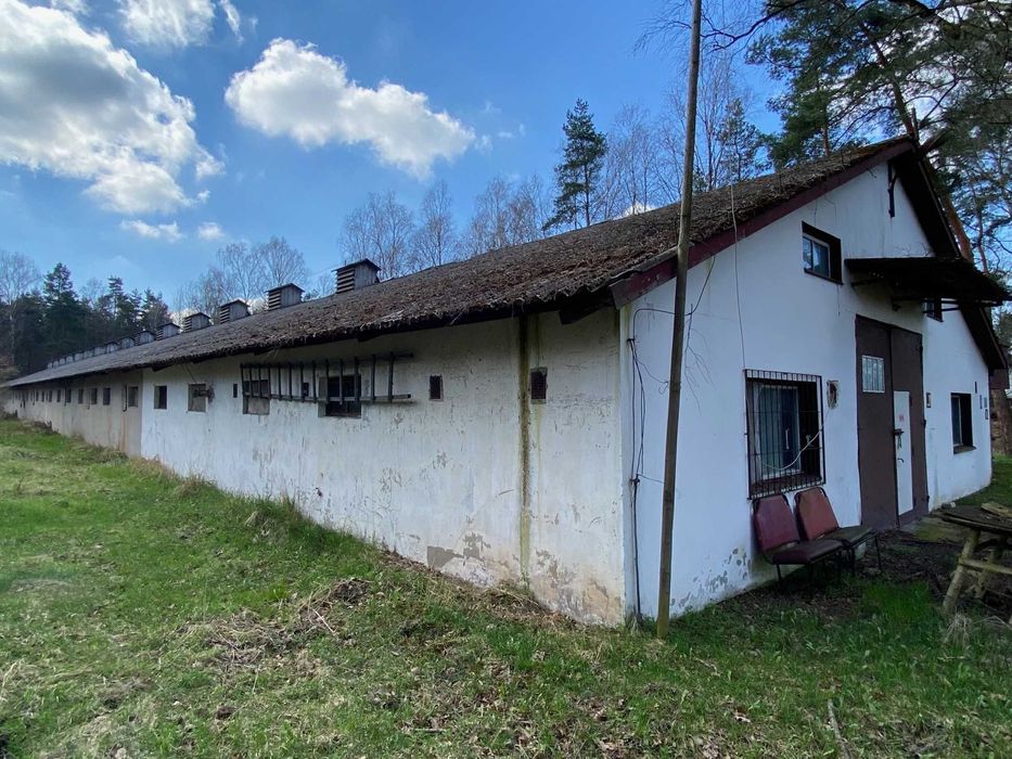 Hala/ Magazyn/ Ferma drobiu 1400 m² działka 2,2 ha. Gospodarstwo rolne