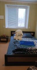 Будинок , центр  , р-н ЧНУ., для відпочинку  та  свят