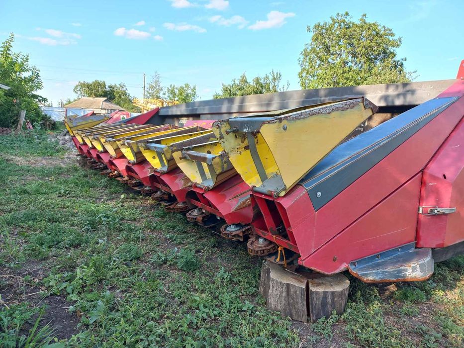 Қара және ақ әдемі эротика