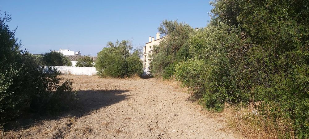 Oportunidade para passatempo de Agricultura no centro de S. Brás