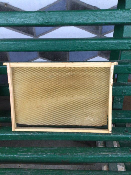 Реалізую бджолорамки.  300.  Дадан.