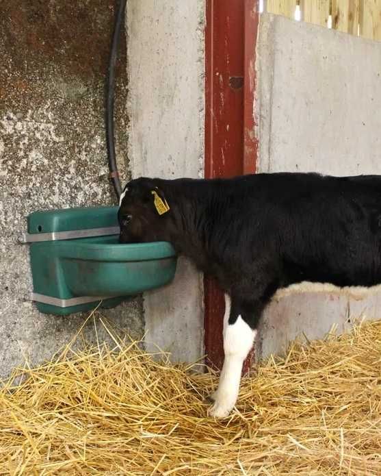 Poidła miskowe idealne przy hodowli krów, cieląt, koni, kóz owiec 16 L