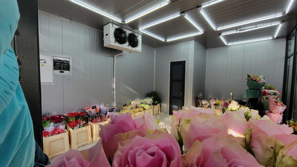 Установка охлаждения и хранения растений, цветов, вазонов Кировоград