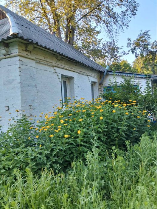 Ппродаж будинку с.Поправка
