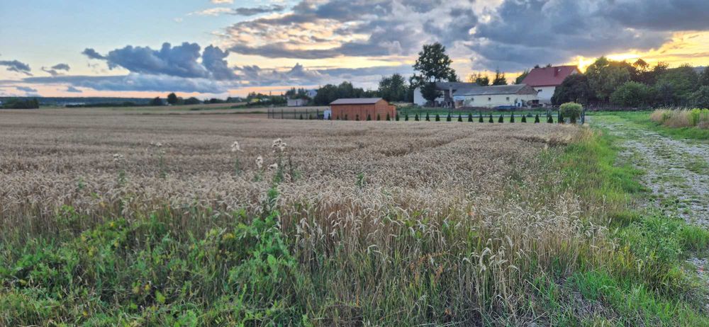 Działka budowlana Krępiec 10 ar