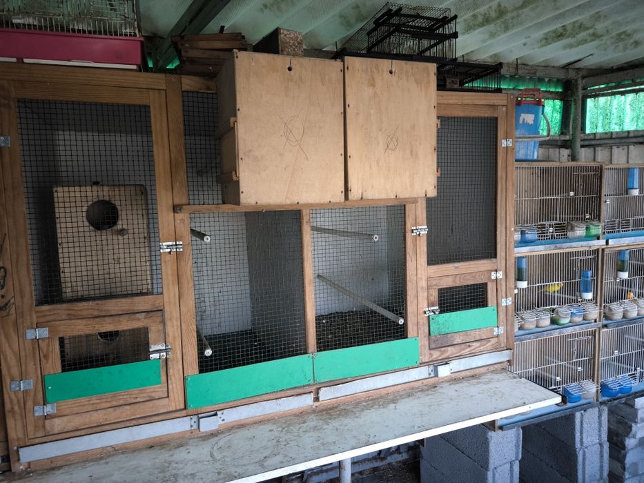 Gaiolas madeira passaros