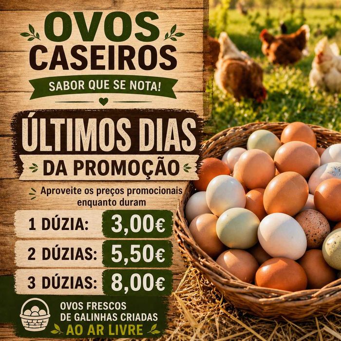 Ovos caseiros de galinhas felizes criadas ao ar livre