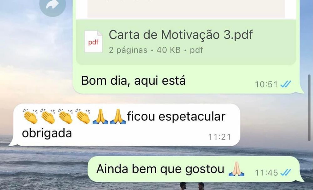 Currículos/ Cartas de motivação/ Análise de Linkedin