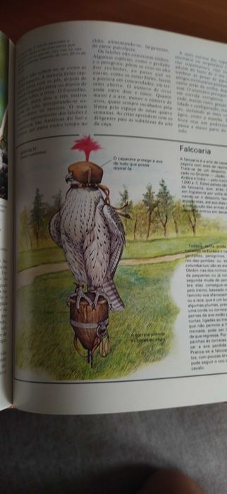 Livro Enciclopédia da Vida Animal